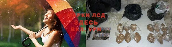 кокс Арсеньев