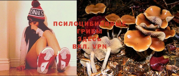 шишки Алзамай