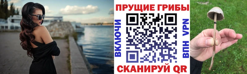 Псилоцибиновые грибы Psilocybe  ОМГ ОМГ зеркало  Цимлянск 